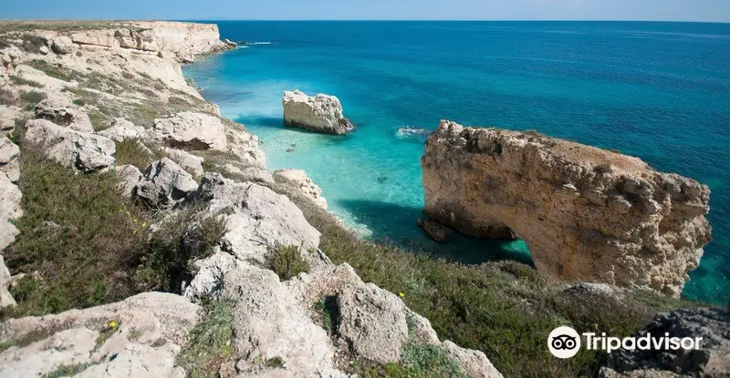 Ortigia Island Excursion Office