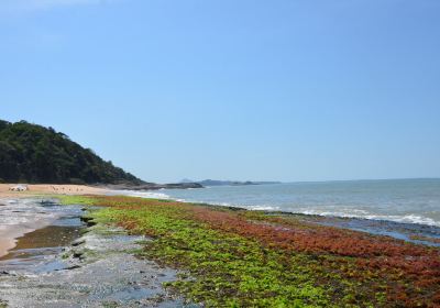 Gamboa Beach