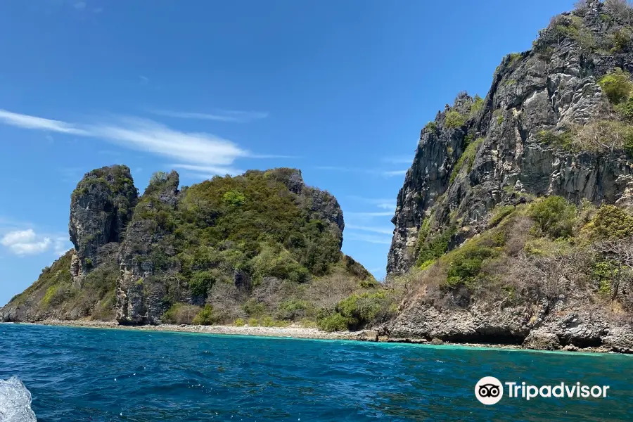 Pura Vida Diving