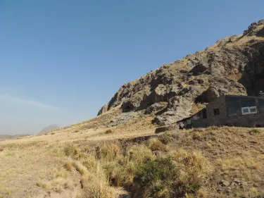 Coronel Pringles Department