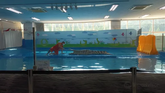 Daejeon Aquarium