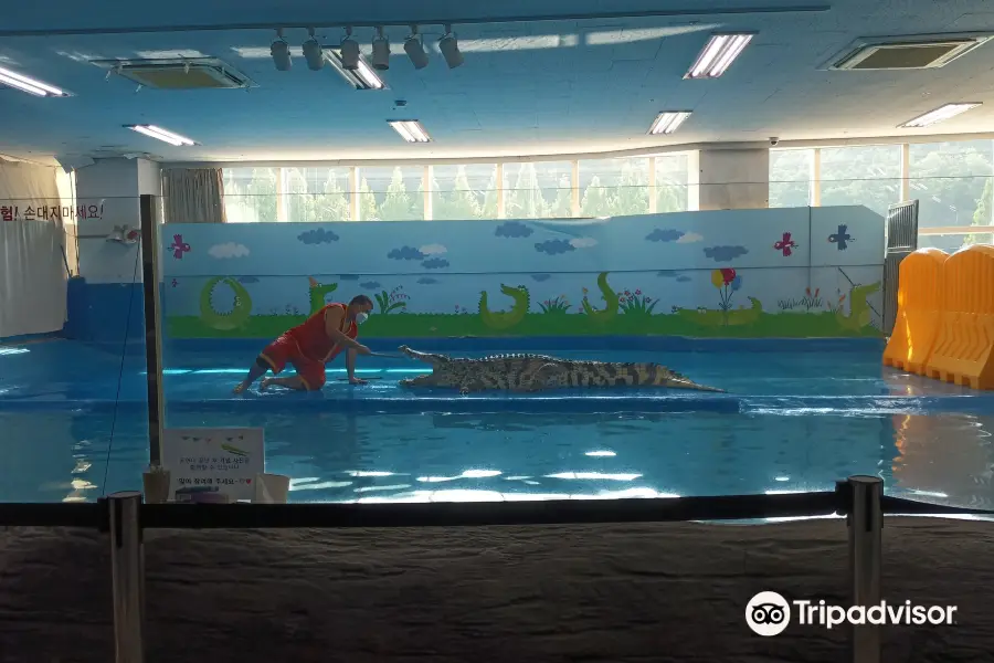 Daejeon Aquarium