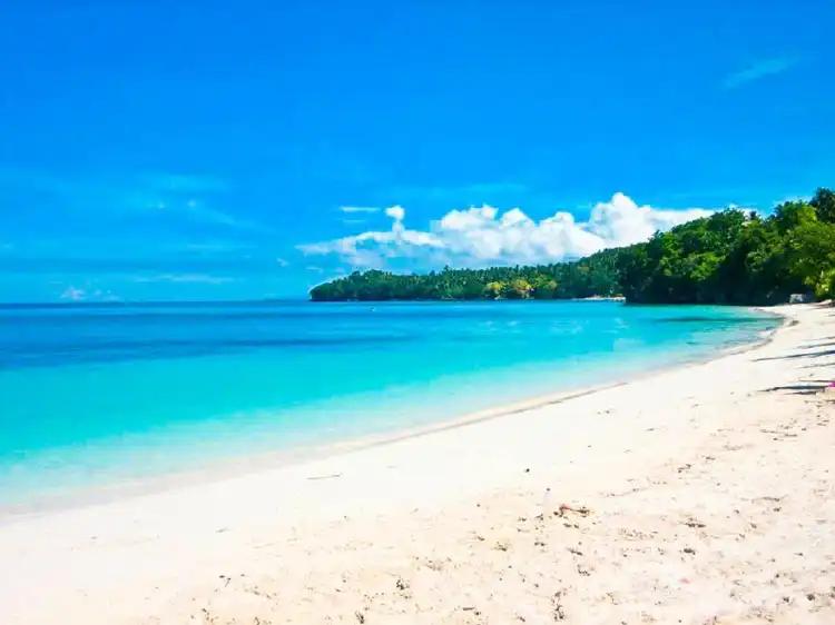 Hotels in Glan