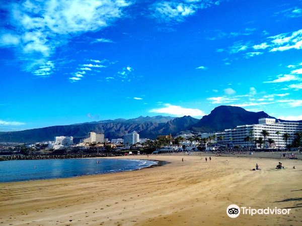 Playas de Troya