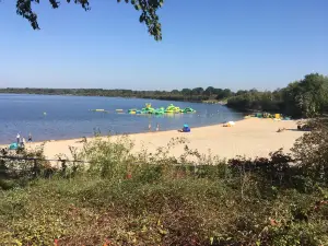 Senftenberg Lake