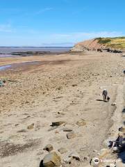 Joggins Fossil Cliffs