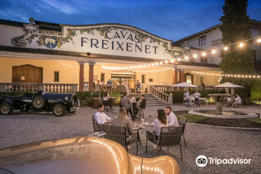 Freixenet Winery