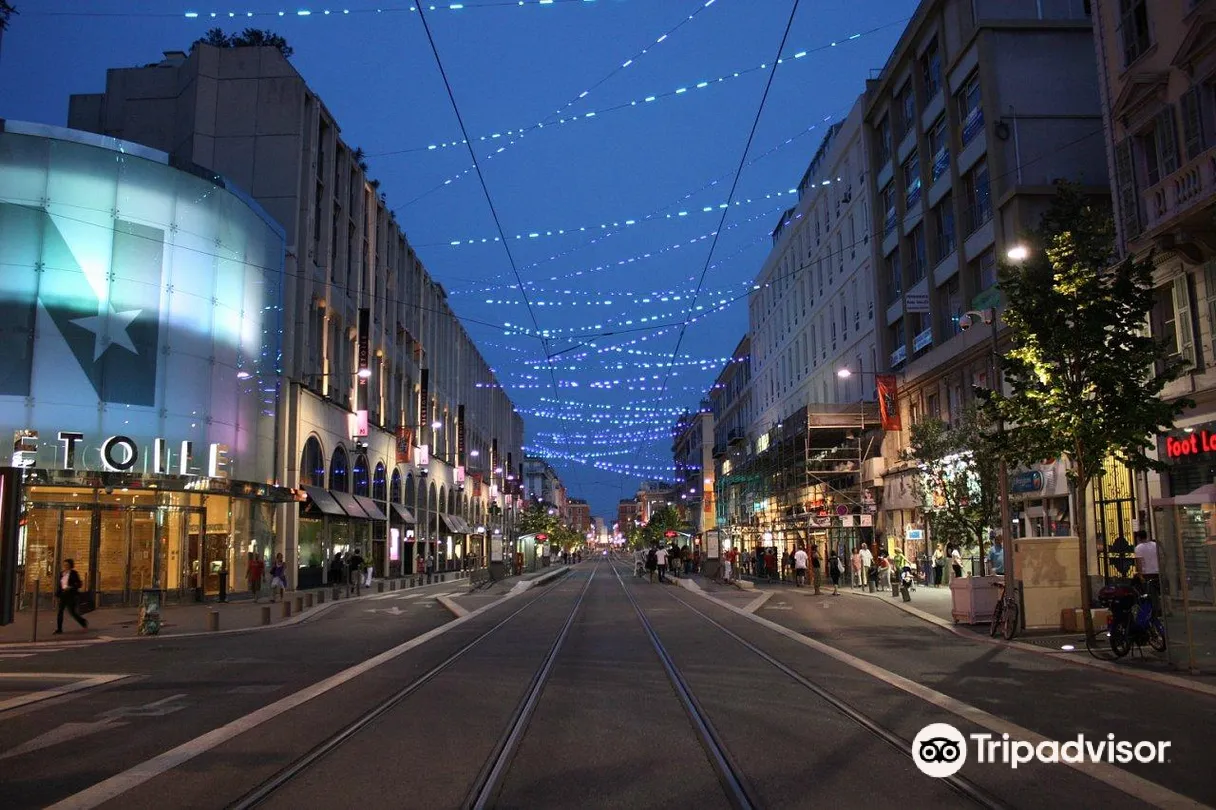 4_Avenue Jean Medecin