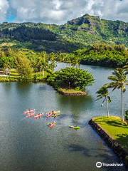 Kayak Adventures Kauai