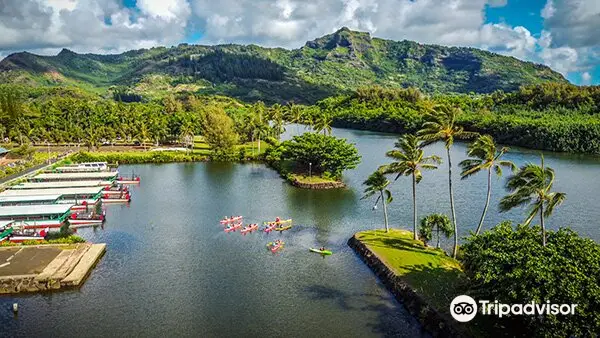 Kayak Adventures Kauai