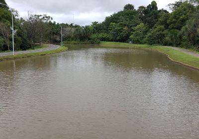 Parque dos Buritis