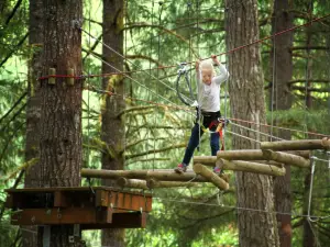 Tree To Tree Idaho adventure park