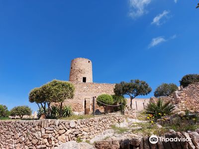 Castell de Capdepera