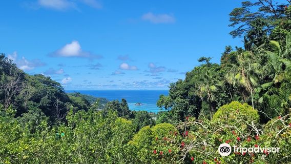 Le Jardin Du Roi Spice Garden