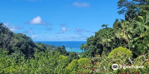 Le Jardin Du Roi Spice Garden