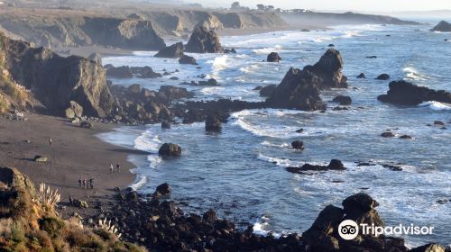 Sonoma Coast State Beach