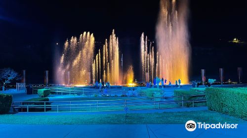 Branson Landing Water & Fire Show