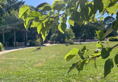 Woodend Children's Park