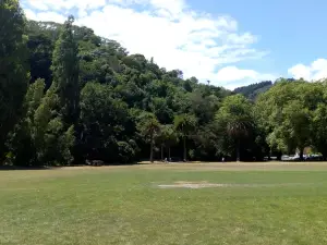 Botanical Reserve