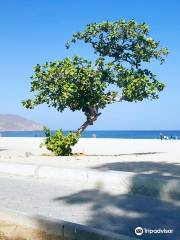 Khor Fakkan Beach