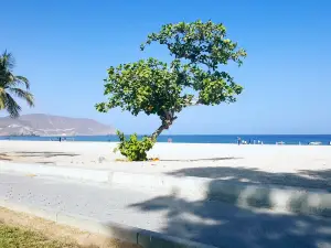 Khor Fakkan Beach