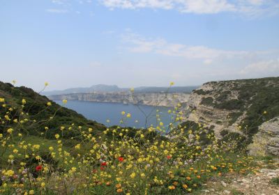 Phare de Pertusato