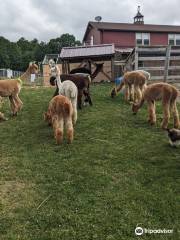 Buck Brook Alpacas