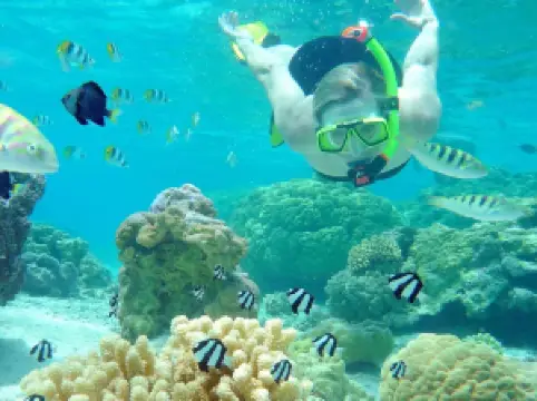 Reef Discovery Bora Bora