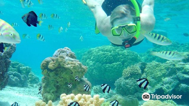 Reef Discovery Bora Bora