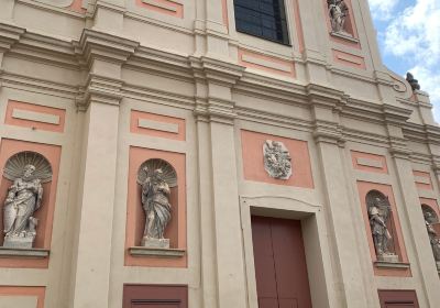 Church Collegiate of Saint Mary 'Maggiore'