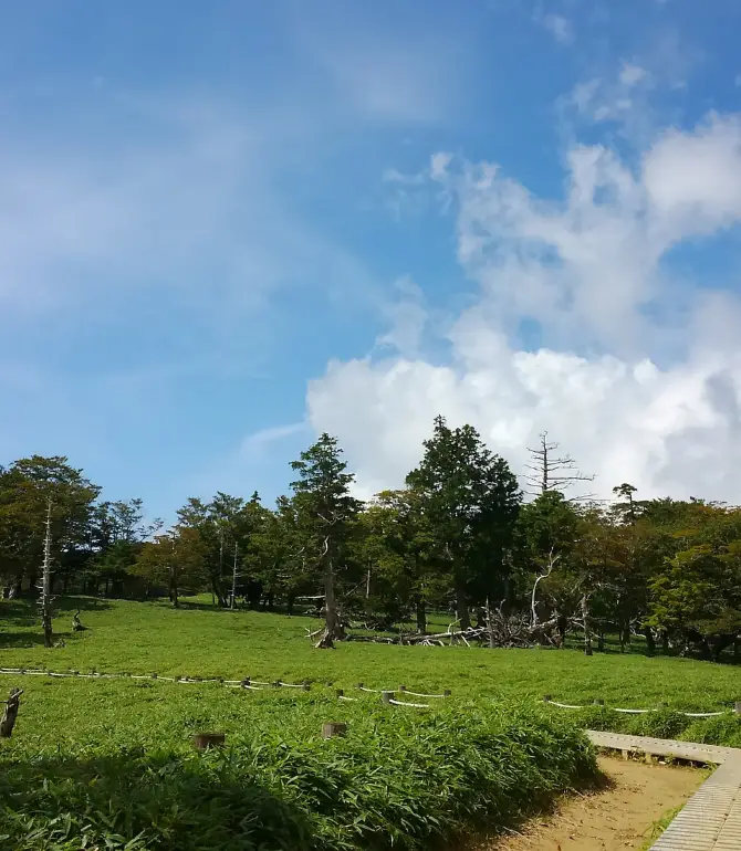 Odai