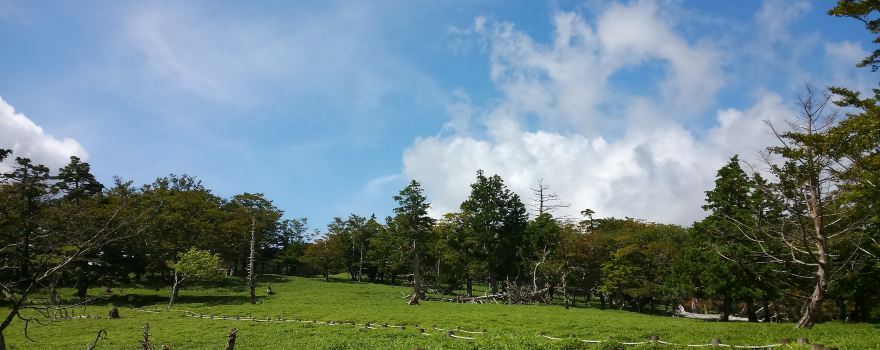 Mount Ōdaigahara