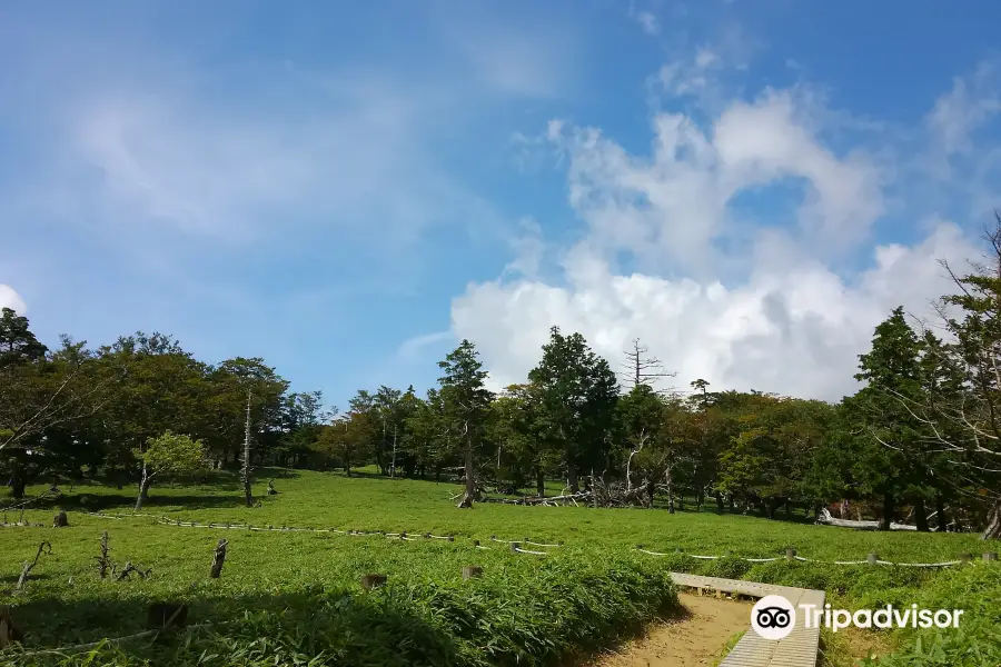 Mount Ōdaigahara