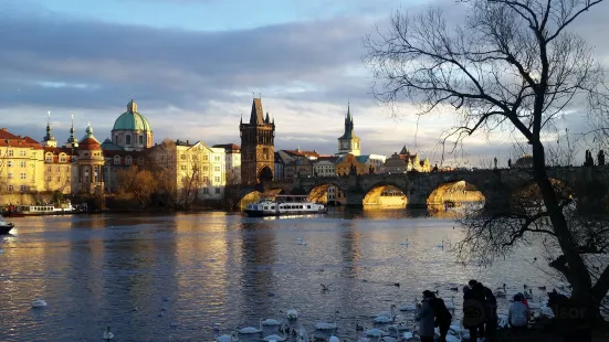 Vltava Beach