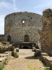 Camber Castle