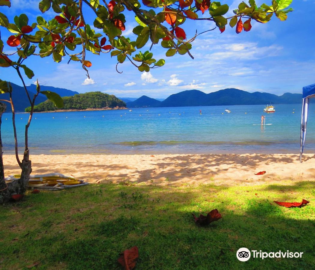 Praia das Toninhas