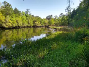 Givhans Ferry State Park