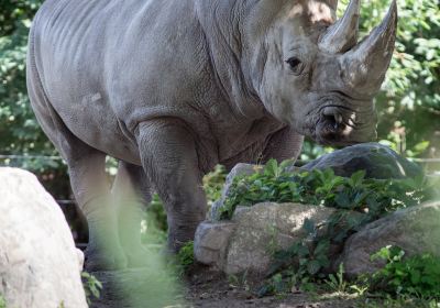 グランビー動物園