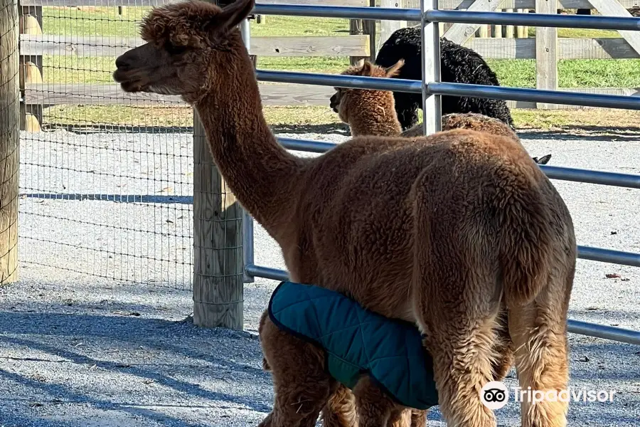 Eastland Alpacas