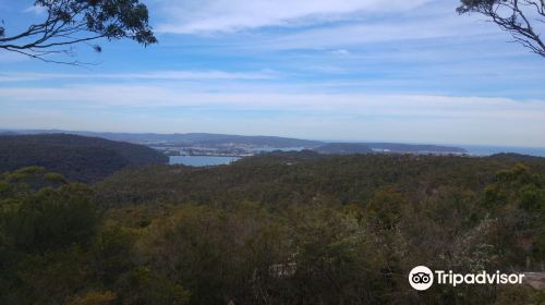 Staples Lookout