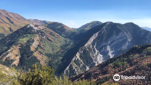 Uinta National Forest