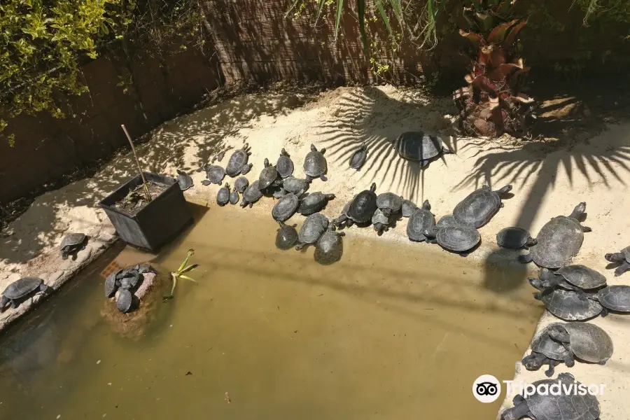 アベス・アグロフロリ公園