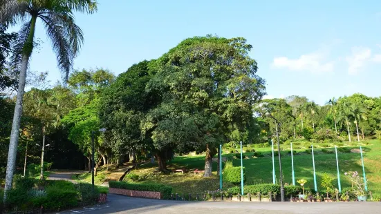 Taman Tumbina