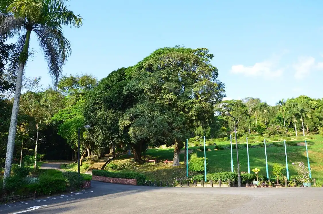 Hotels near Taman Tumbina