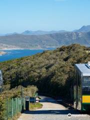 Cape Point Nature Reserve