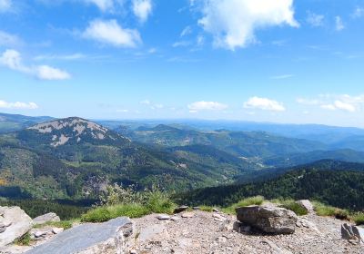 Mont Gerbier de jonc