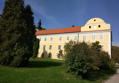 Srem District