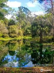 Jardines del Parque del Estado Alfred B. Maclay