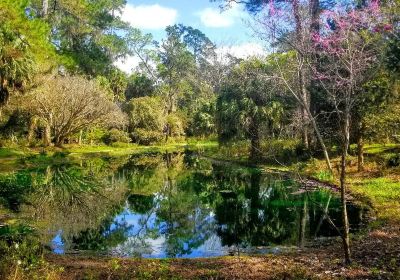 Alfred B. Maclay Gardens State Park