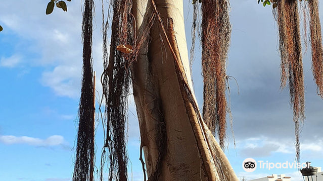 Parque Andres de Lorenzo Caceres